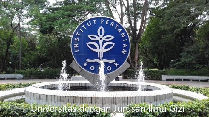 4 Deretan Universitas dengan Jurusan Ilmu Gizi Terbaik di Indonesia Terlengkap